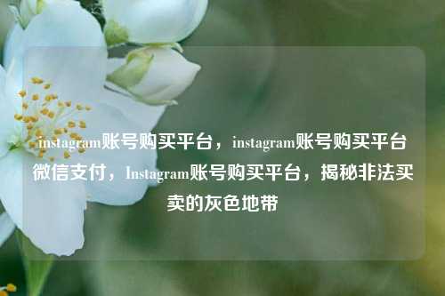 instagram账号购买平台，instagram账号购买平台微信支付，Instagram账号购买平台，揭秘非法买卖的灰色地带