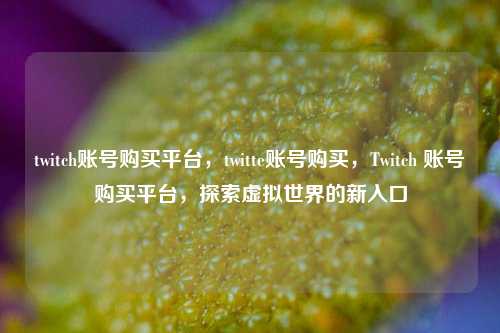 twitch账号购买平台，twitte账号购买，Twitch 账号购买平台，探索虚拟世界的新入口