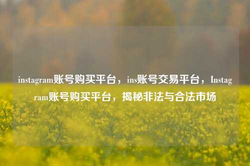 instagram账号购买平台，ins账号交易平台，Instagram账号购买平台，揭秘非法与合法市场