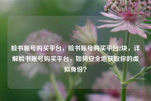 脸书账号购买平台，脸书账号购买平台2块，详解脸书账号购买平台，如何安全地获取你的虚拟身份？