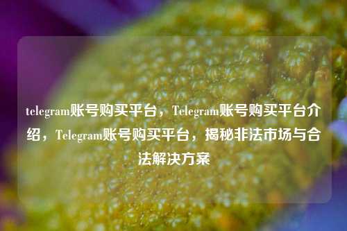 telegram账号购买平台，Telegram账号购买平台介绍，Telegram账号购买平台，揭秘非法市场与合法解决方案