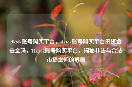 tiktok账号购买平台，tiktok账号购买平台的资金安全吗，TikTok账号购买平台，揭秘非法与合法市场之间的界限