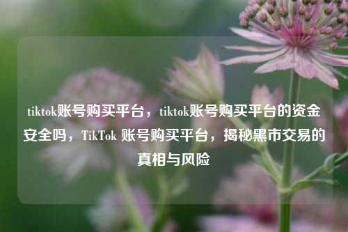 tiktok账号购买平台	，tiktok账号购买平台的资金安全吗，TikTok 账号购买平台，揭秘黑市交易的真相与风险  第1张
