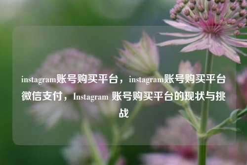 instagram账号购买平台，instagram账号购买平台微信支付，Instagram 账号购买平台的现状与挑战