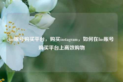 ins账号购买平台，购买instagram，如何在Ins账号购买平台上高效购物  第1张