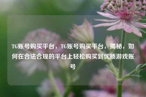 TG账号购买平台，TG账号购买平台，揭秘，如何在合法合规的平台上轻松购买到优质游戏账号