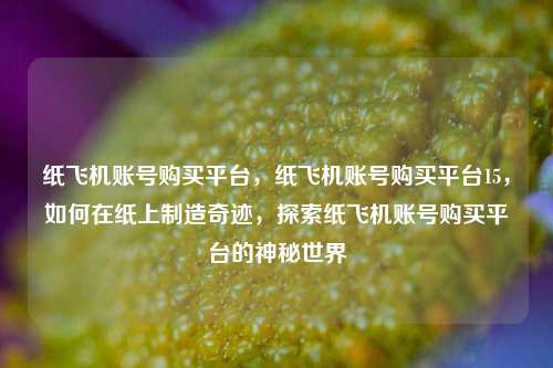 纸飞机账号购买平台，纸飞机账号购买平台15，如何在纸上制造奇迹，探索纸飞机账号购买平台的神秘世界