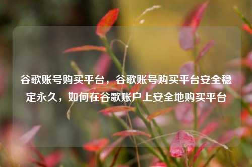 谷歌账号购买平台，谷歌账号购买平台安全稳定永久，如何在谷歌账户上安全地购买平台