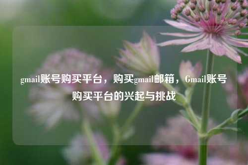 gmail账号购买平台，购买gmail邮箱，Gmail账号购买平台的兴起与挑战