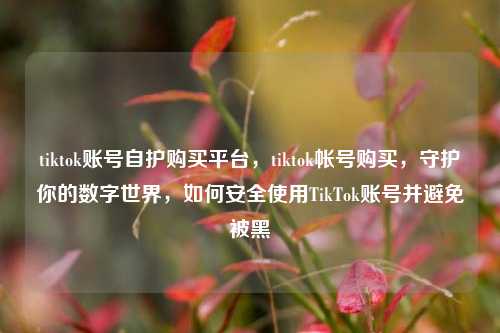 tiktok账号自护购买平台，tiktok帐号购买，守护你的数字世界，如何安全使用TikTok账号并避免被黑