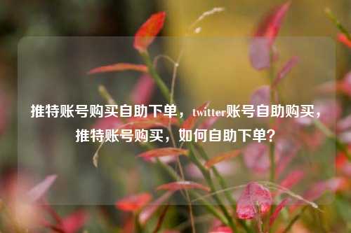 推特账号购买自助下单，twitter账号自助购买，推特账号购买，如何自助下单？