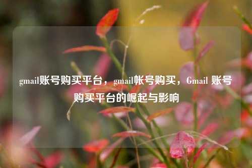 gmail账号购买平台，gmail帐号购买，Gmail 账号购买平台的崛起与影响
