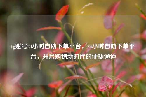 tg账号24小时自助下单平台，24小时自助下单平台，开启购物新时代的便捷通道