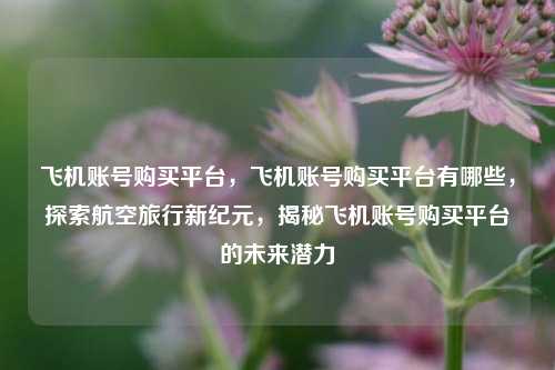 飞机账号购买平台，飞机账号购买平台有哪些，探索航空旅行新纪元，揭秘飞机账号购买平台的未来潜力