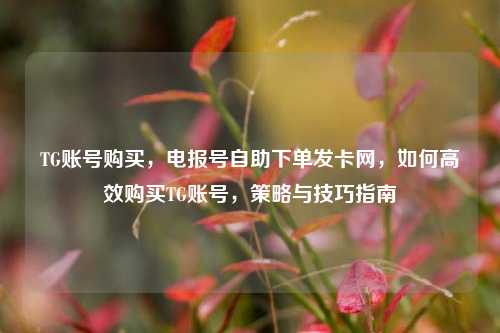 TG账号购买，电报号自助下单发卡网，如何高效购买TG账号，策略与技巧指南