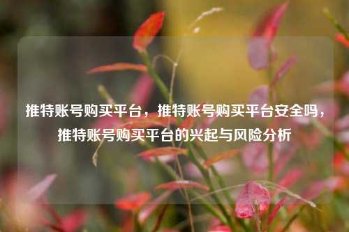 推特账号购买平台，推特账号购买平台安全吗，推特账号购买平台的兴起与风险分析