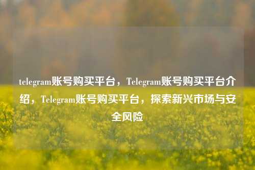 telegram账号购买平台，Telegram账号购买平台介绍，Telegram账号购买平台，探索新兴市场与安全风险