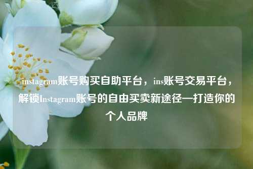 instagram账号购买自助平台，ins账号交易平台，解锁Instagram账号的自由买卖新途径—打造你的个人品牌