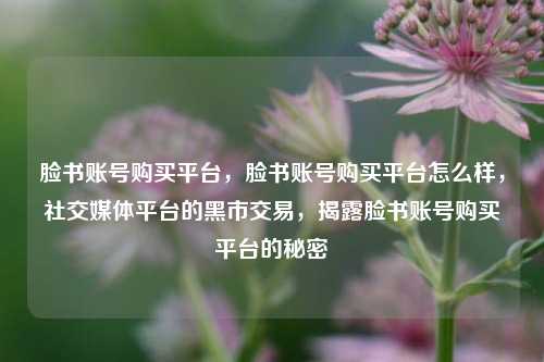 脸书账号购买平台，脸书账号购买平台怎么样，社交媒体平台的黑市交易，揭露脸书账号购买平台的秘密
