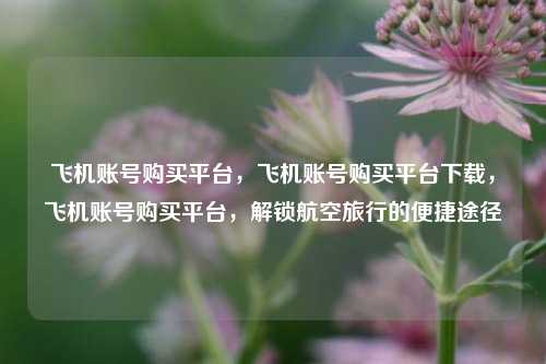 飞机账号购买平台，飞机账号购买平台下载，飞机账号购买平台，解锁航空旅行的便捷途径