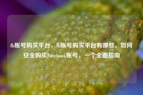 fb账号购买平台，fb账号购买平台有哪些，如何安全购买Facebook账号，一个全面指南