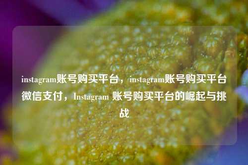 instagram账号购买平台，instagram账号购买平台微信支付，Instagram 账号购买平台的崛起与挑战